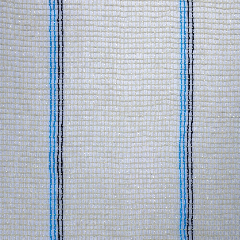 Blue-black-two-stripe